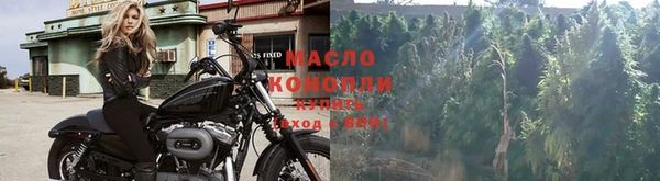 индика Россошь