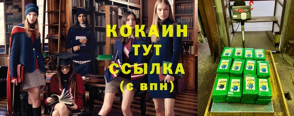 индика Россошь
