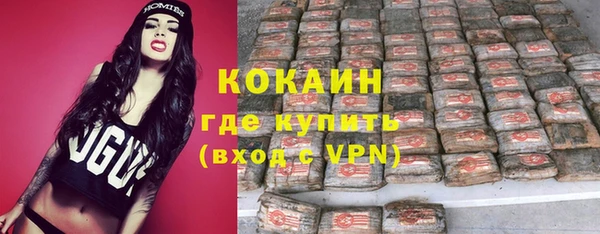 индика Россошь