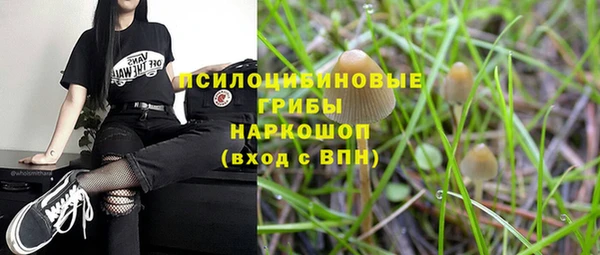 стаф Ростов
