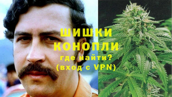 стаф Ростов